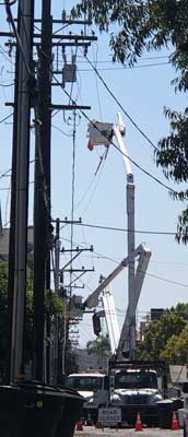Replace utility pole 